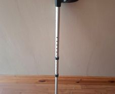Walking Stick