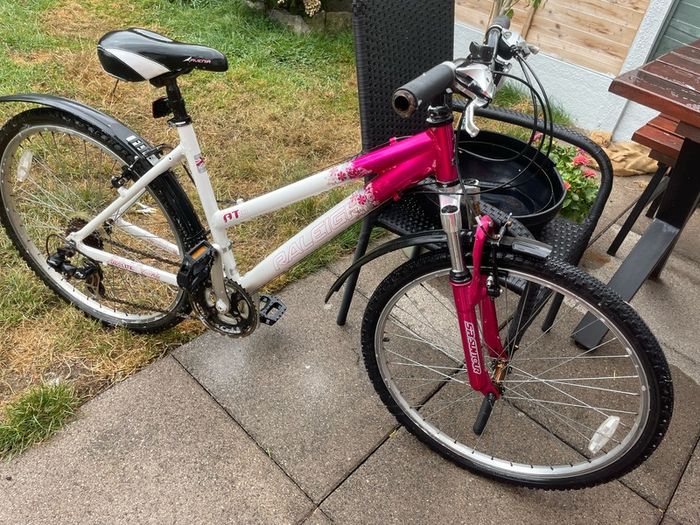 women's pink raleigh bike