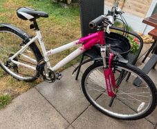 women's pink raleigh bike