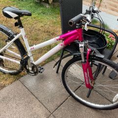 women's pink raleigh bike