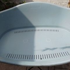 Free large dog bed