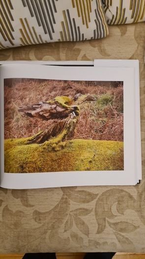 Stories From Life By Ignatius Waters. C. P. Beautiful Illustrated Large Volume Hardback With Dustjacket In Very Good Condition.make Lovely Christmas Present. 34.