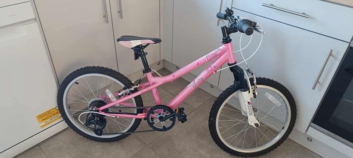 girls 20 inch bike