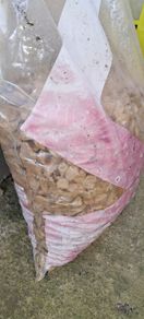 Decorative stone x 3 bags