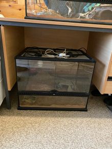 Exo Terra Reptile Tank
