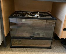 Exo Terra Reptile Tank