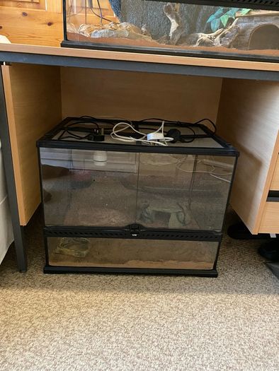 Exo Terra Reptile Tank
