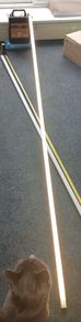 Lights