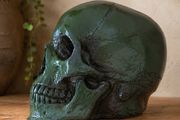 Lifesized Skulls