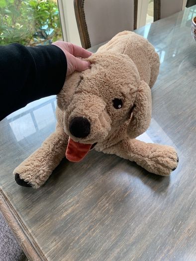 Big cuddly dog