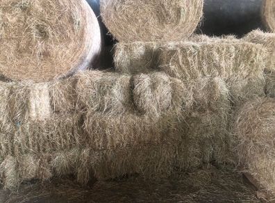 Small square baled hay for sale