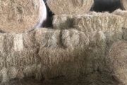 Small square baled hay for sale