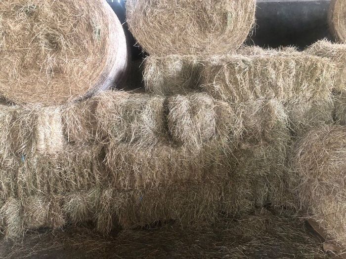 Small square baled hay for sale
