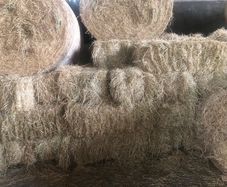 Small square baled hay for sale