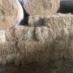 Small square baled hay for sale