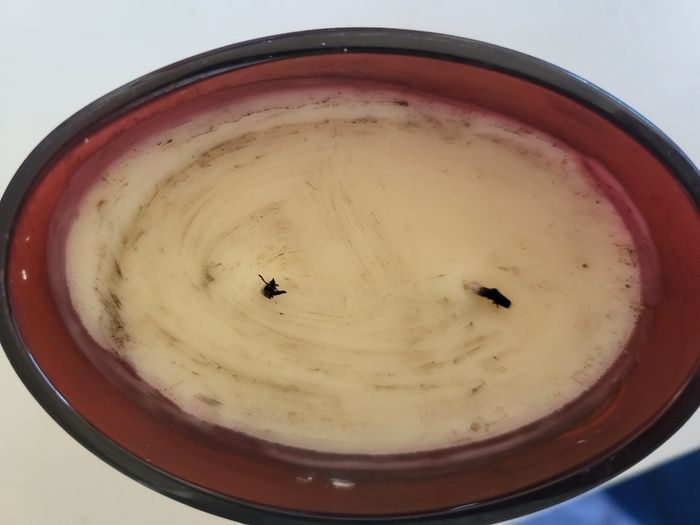 Candle