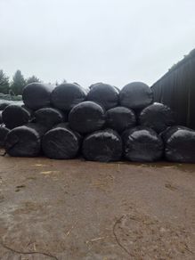 Silage bales