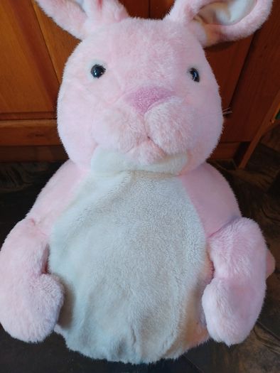 kids Bouncing Bunny