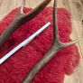Antlers Image 3