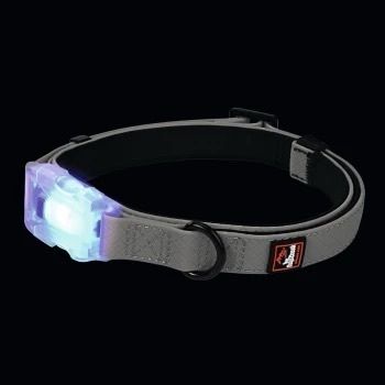 Dogs Creek Collar / Polar Light Up