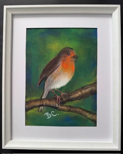 Original Pastel Paintings of Irish Garden Birds
