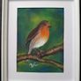 Original Pastel Paintings of Irish Garden Birds Image 5