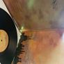 Dinosaur Jr. - Farm (Limited Edition) Image 5