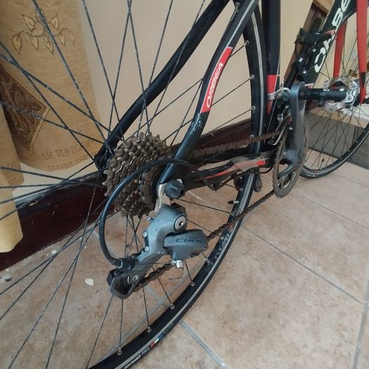 Orbea bike
