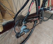 Orbea bike