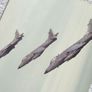 ROYAL NAVY (photoprints x 5) - Sea Harrier fighter jets, F174 Frigate & aircraft carrier deck with aircraft (1980's / 1990's) Image 10