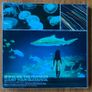 Bring Me The Horizon - Limited Box Set Image 6