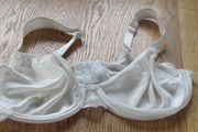 Ladies Bra for Sale