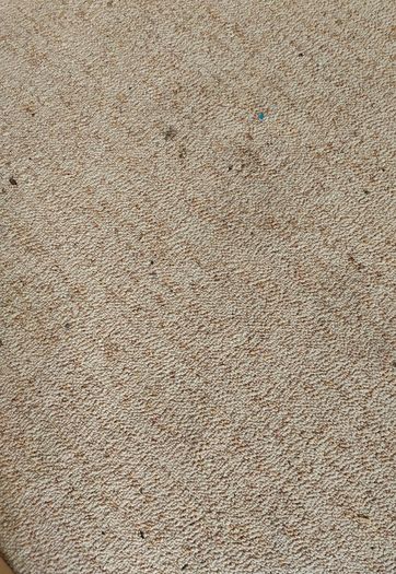 Carpet