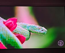 Elite Screns 120 inch screen