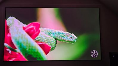 Elite Screns 120 inch screen