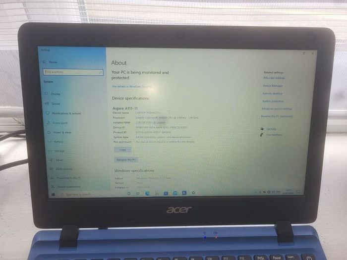 acer