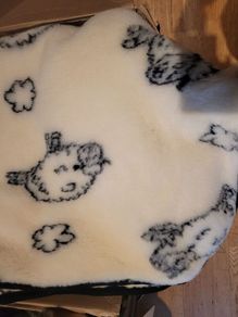 Blankets/ Duvets / Pillows from true Sheep