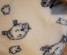 Blankets/ Duvets / Pillows from true Sheep