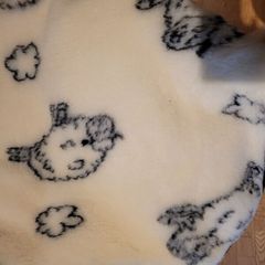 Blankets/ Duvets / Pillows from true Sheep