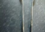 Walker and hall sugar tongs