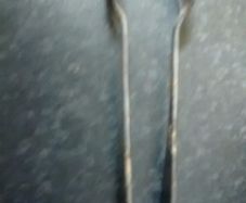 Walker and hall sugar tongs