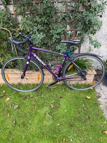 Trek Lexa Road Bike