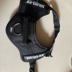 dog accessories