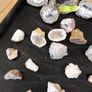 Collection of geodes Image 2