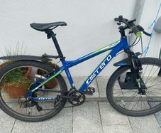 Carrera Mountain Bike