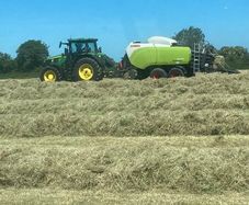 8x4x3 Bales of Hay