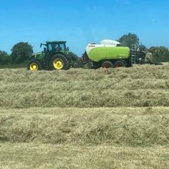 8x4x3 Bales of Hay