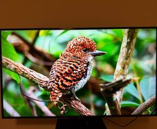 Samsung 50" 4K Smart TV