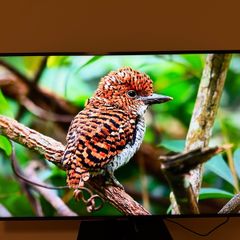Samsung 50" 4K Smart TV