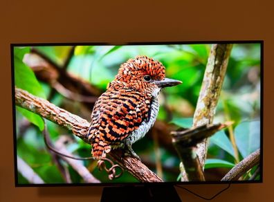 Samsung 50" 4K Smart TV